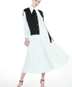 Wanderlust By Abby Pleated Flare Skirt