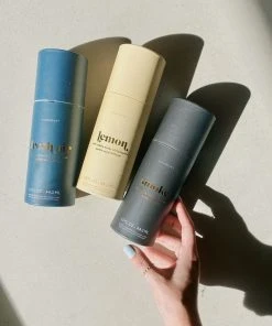 Wanderlust By Abby Diffuser Sticks + Oil NEW